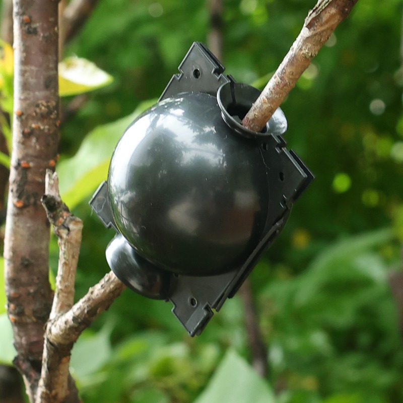 Reusable Plant Rooting Ball Gr - Smart Garden Storage review and price