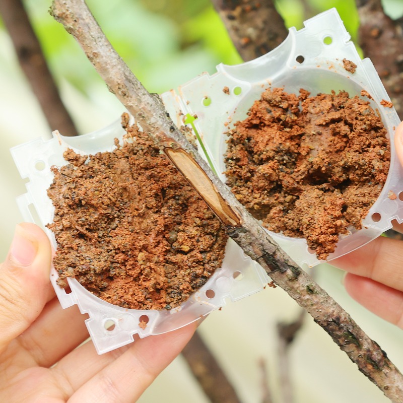 Reusable Plant Rooting Ball Gr - Smart Garden Storage review and price