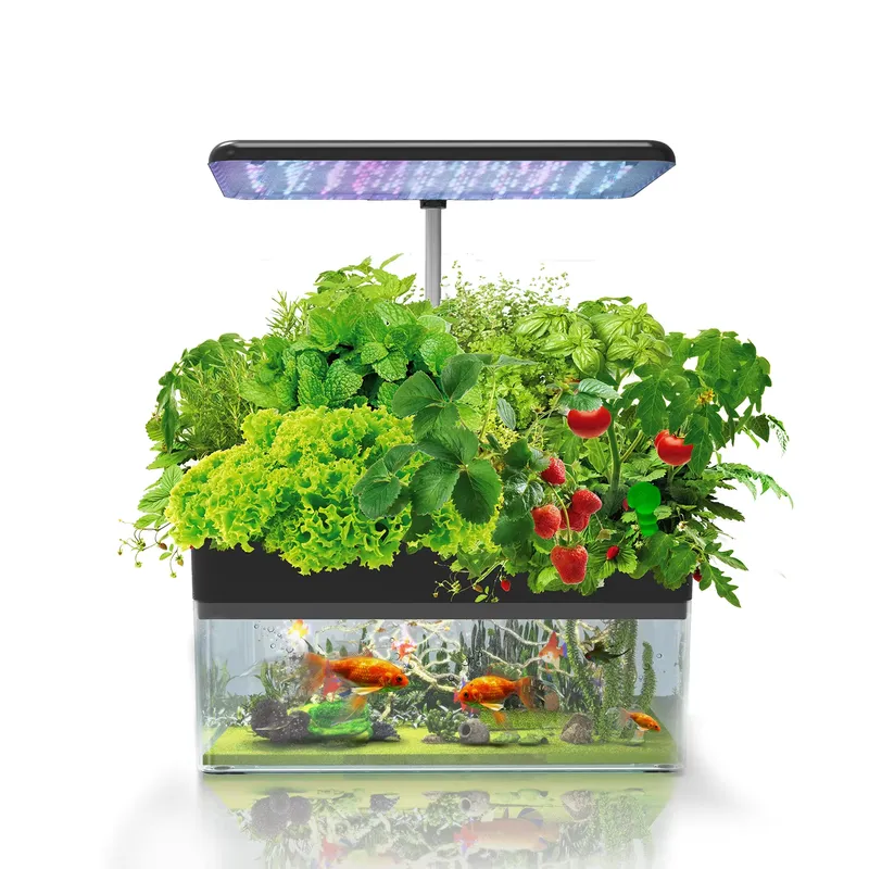 Brand IGS-70 Indoor Hydroponic - Smart Led Garden review and price